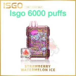 ISGO Disposable Vape (6000 Puffs) _ Strawberry Watermelon Ice